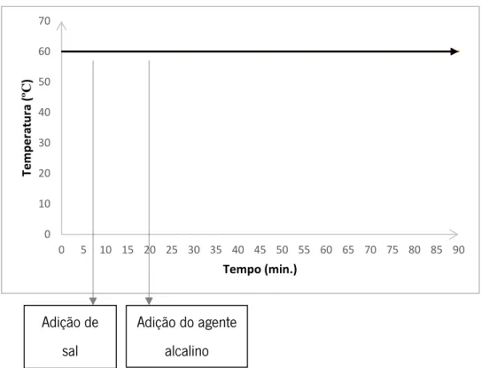 Figura 5:Processo utilizado na análise da estabilidade espetral dos corantes 