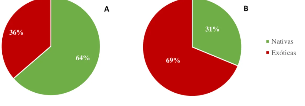 Figura 2 – Porcentagem de indivíduos exóticos e nativos registrados nos viveiros, público (A) e particular (B), localizados  no município de Brejo Santo-CE
