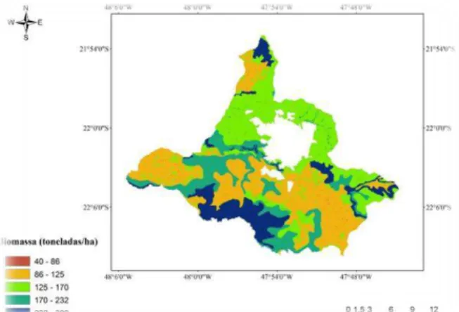 Tabela 6. Densidade de biomassa potencial média obtida da  calibração do modelo 