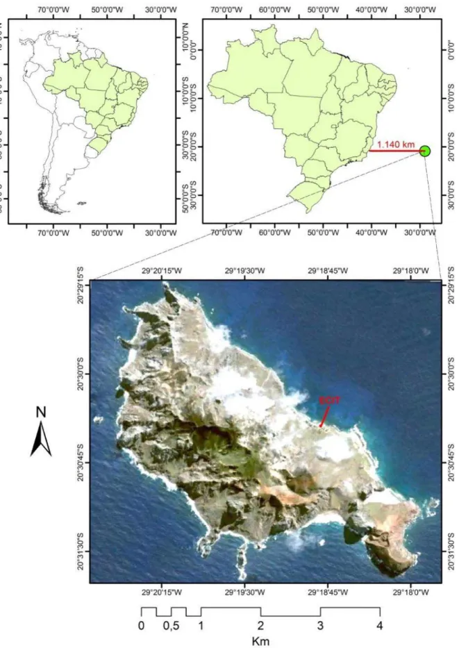 Figura 1 - Localização da Ilha da Trindade em relação ao continente e localização da ECIT na ilha  F ONTE : A DAPTADO DE  G OOGLE  E ARTH , 2013 