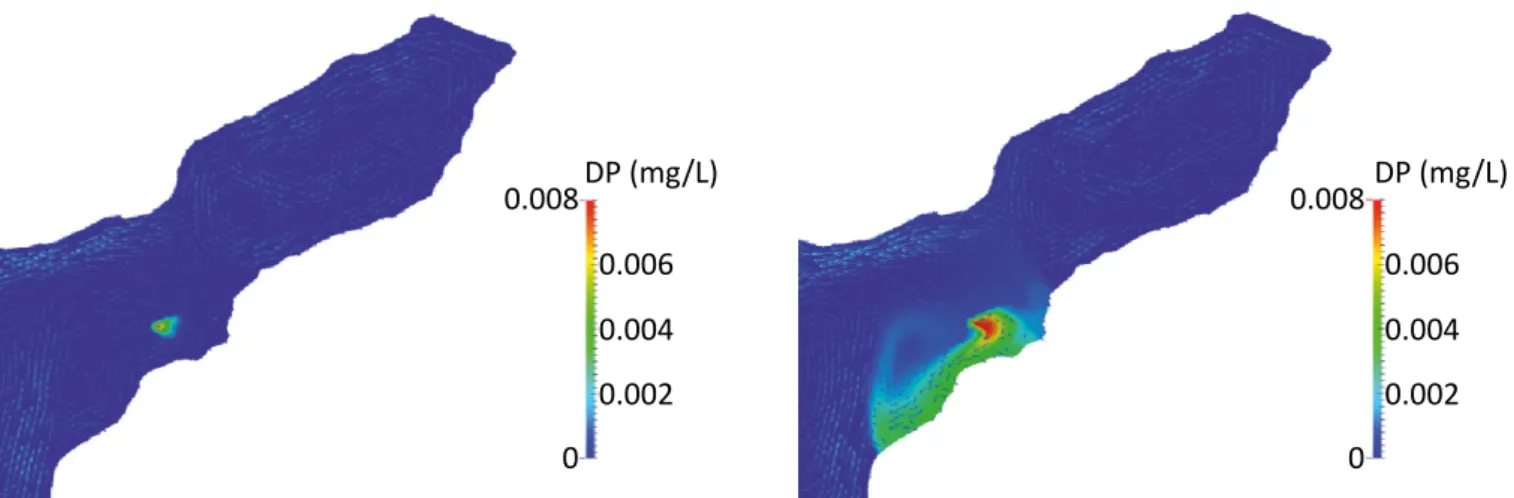 Figure 5 – Surface flow simulation results (mean discharge = 2,060 m 3  s -1 , wind = 5.5 m s -1 ).