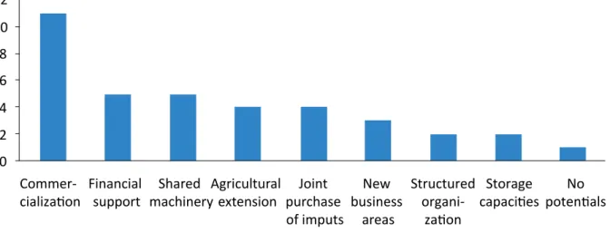 Figure 2 – Most mentioned potential of agricultural cooperatives in the study region.