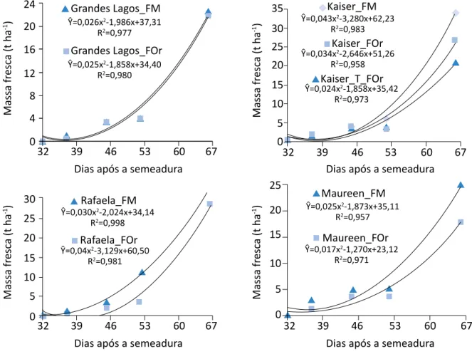 Figura 1 - Curvas de produção de massa fresca total da parte aérea de cultivares de alface tipo americana, nível de  significância (p&lt;0,01), para Grande Lagos, Kaiser, Rafaela e Maureen, cultivadas com fertilizantes minerais, com composto 