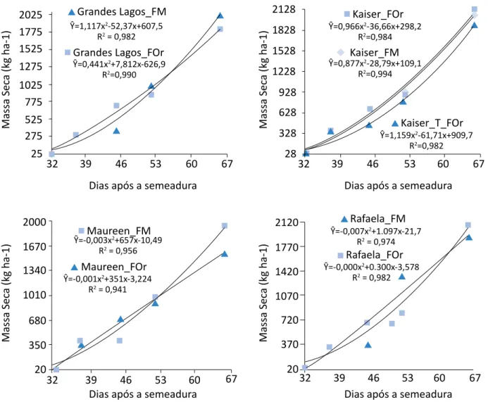 Figura 2 - Curvas de produção de massa seca da parte aérea de cultivares de alface tipo americanas, nível de significância  (p&lt;0,02), para Grandes Lagos, Kaiser, Rafaela e Maureen, cultivadas com fertilizantes minerais, com composto orgânico mais 