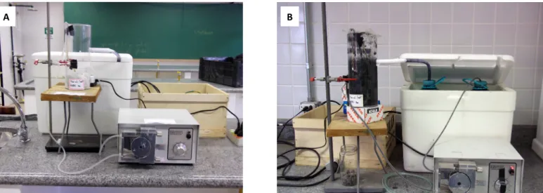 Figura 1 – Imagem do reator antes do experimento (A) e imagem do reator durante o experimento (B).