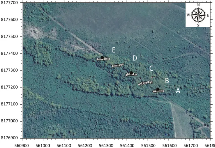 Figura 1 – Localização da área de estudo e dos transectos A, B, C, D e E, totalizando 55 pontos de medição (pontos claros)  e três estações meteorológicas (pontos escuros) no Pantanal Mato-Grossense