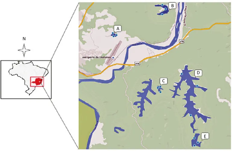 Figura 1 - Localização geográfica da coleção hídrica estudada na região do Médio Rio Doce, leste de Minas Gerais, Brasil.
