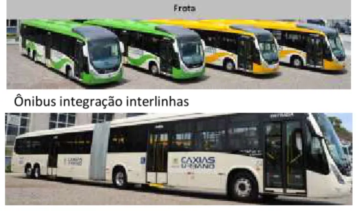 Figura 1 - Frota de ônibus no transporte coletivo urbano de Caxias do Sul 