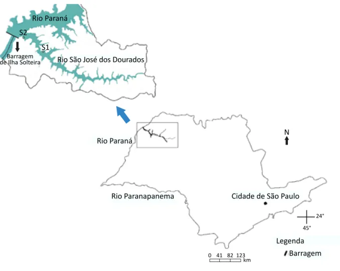 Figura 1 – Mapa do estado de São Paulo com destaque 