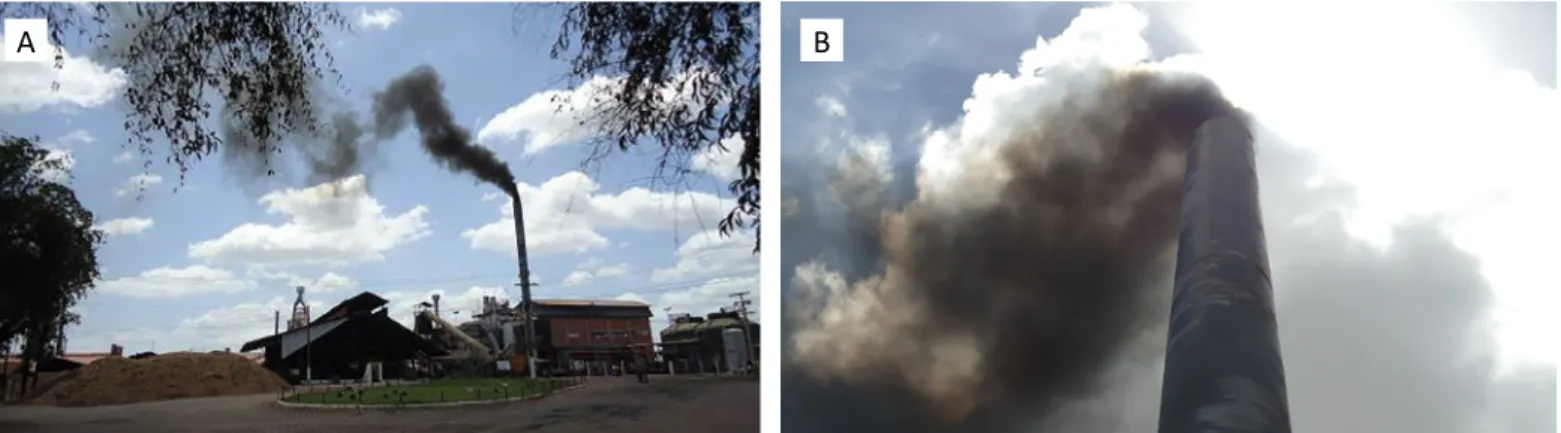 Figura 2 – Emissão de material particulado e de gases para a atmosfera durante o teste de queima com dormentes.