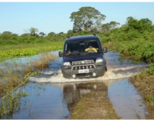 Figura 1. Parte da Estrada-parque do Pantanal inundada em épocas de cheia  Fonte: www.interativapantanal.com.br/admin 