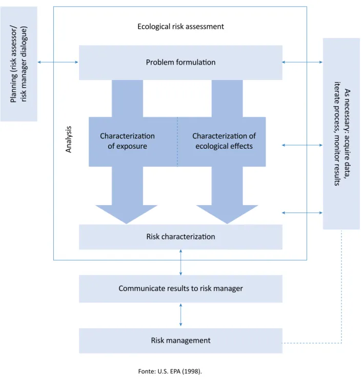 Figure 1 – General ecological risk assessment overview.