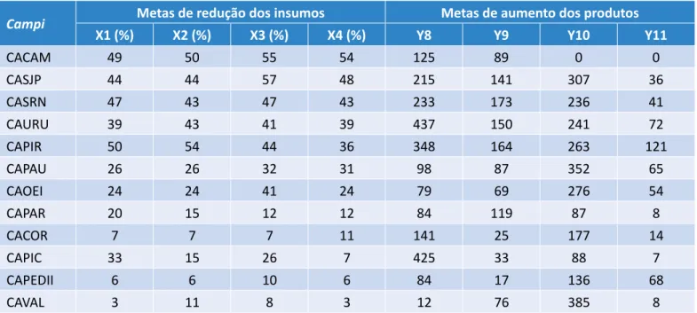 Tabela 2 – Metas de redução dos inputs e aumento dos outputs para atingir a curva de eficiência.