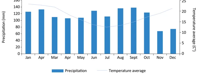 Figure 2 – Precipitation and average temperature in Pelotas from 2012 to 2013.