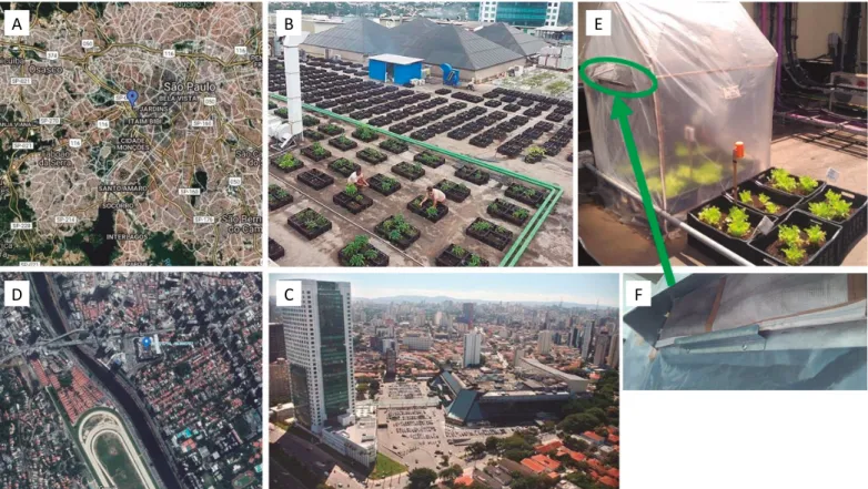 Figura 1 – (A) Imagem aérea da cidade de São Paulo; (B) e (C) imagens da horta urbana no telhado verde do shopping; 