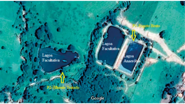 Figura 2 – Pontos de amostragem na estação de tratamento de esgoto do município de Dracena (SP).