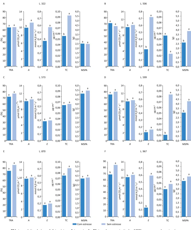 Figura 2 – Comportamento fisiológico de seis linhagens de amendoim submetidos à deficiência hídrica