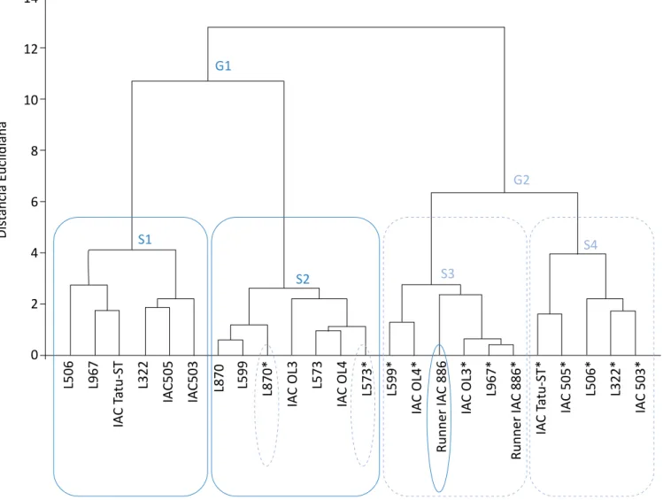 Figura 3 – Análise de agrupamento pelo método de Ward dos grupos G1 e G2, separados por subgrupos (S1-S4) para as  variáveis: massa seca de parte área, fotossíntese, transpiração, teor relativo de água e teor de cera epicuticular, para os 12 