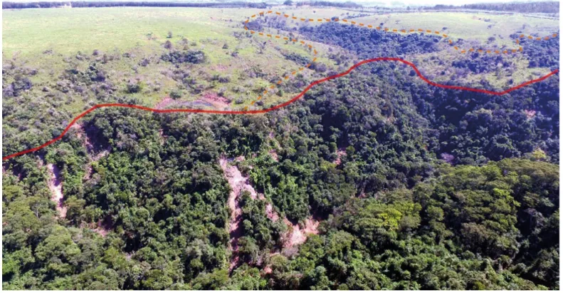 Figure 2 – Approximate delimitation of the rupture line (red continuous line) and of the erosive  escarpment advancement sector (orange dashed line) in an image captured with UAV model Phantom 3