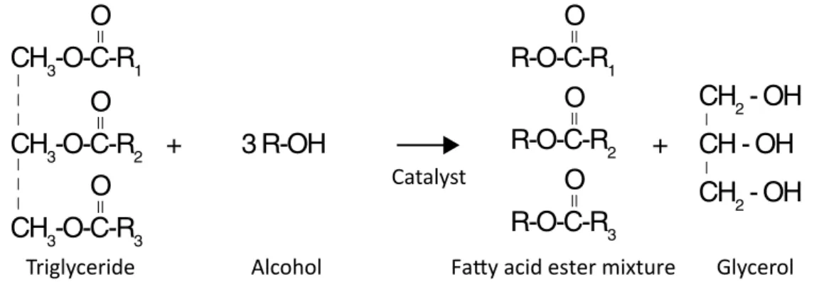 Figure 1 – Global transesterification reaction of soybean oil with primary alcohol, producing biodiesel and glycerol.