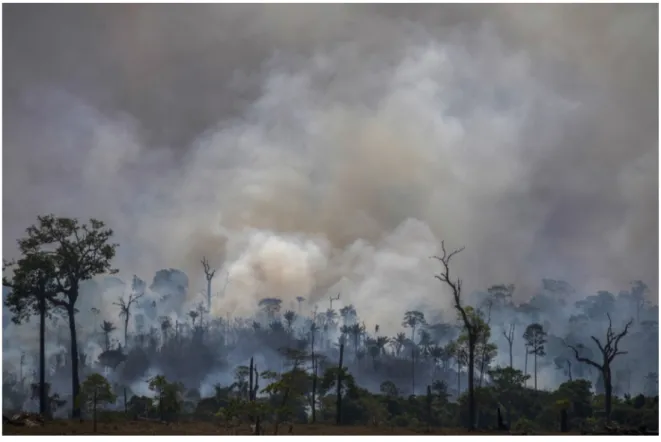 Figure 2 – Burn in the Amazon, in the municipality of Altamira (PA). Source: Figueiredo (2019).