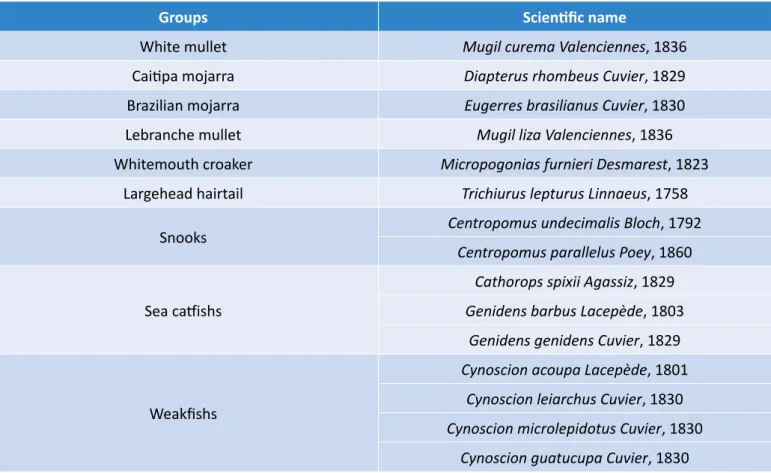 Table 1 – List of ichthyofauna species identified with higher occurrence in the study area.