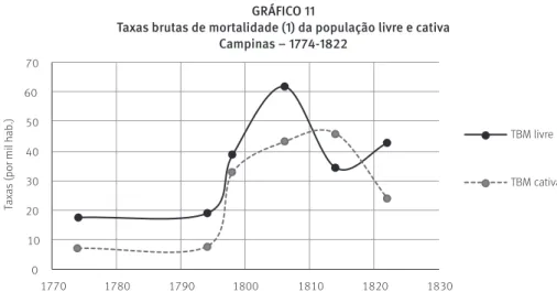 GRÁFICO 11 