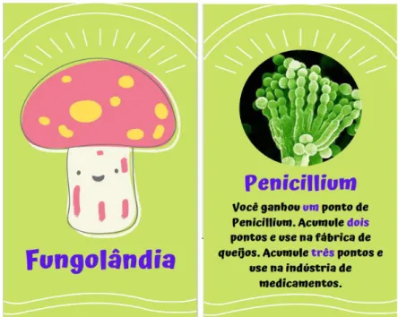 Figura 1: Modelo de carta, com verso (cogumelo) e frente (figura e texto), do Fungolândia: jogo  educativo de tabuleiro sobre a diversidade e importância dos fungos na Caatinga
