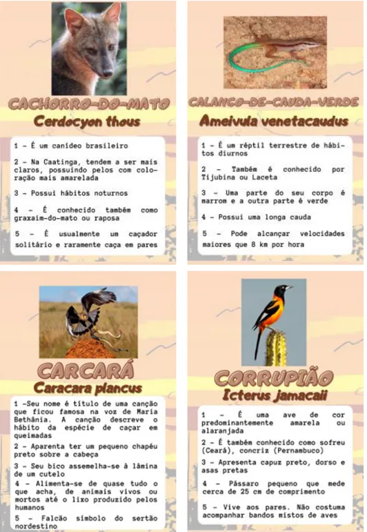 Figura 2: Cartas do jogo Animacards Caatingueiros, em tamanho real (Continuação). 