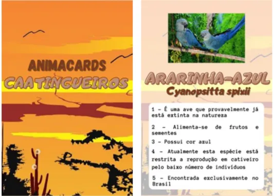 Figura 1: Modelo das cartas do jogo Animacards Caatingueiros em tamanho real, verso e  frente de uma carta 