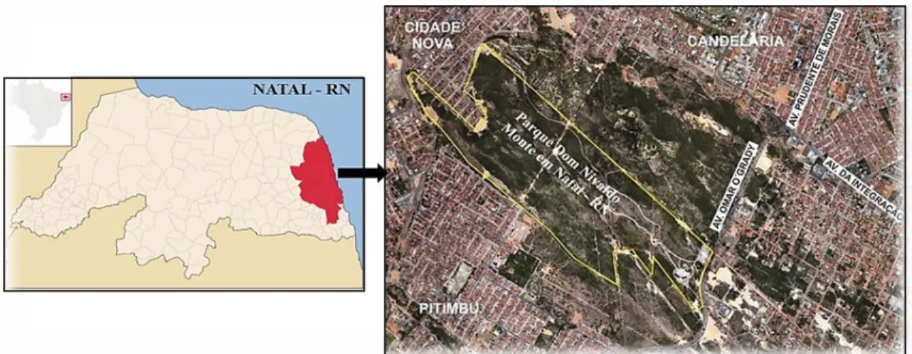 Figura 1: Delimitação do Parque da Cidade em Natal-RN.
