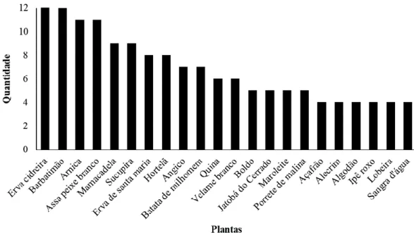 Gráfico 5: Principais plantas (nomes populares) que os entrevistadas utilizam para fins  medicinais