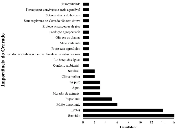 Gráfico 8: Importância do Cerrado de acordo com os relatos obtidos dos entrevistados. 