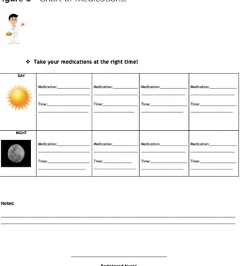 Figure 3 - Chart of medications.