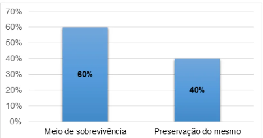 Figura 5: O que são problemas ambientais na visão dos alunos. Fonte: Autores (2018). 