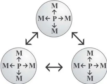 Figura  4  –  Articulação  entre  práticas  prática.