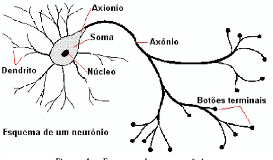 Figura 4 – Esquema de um neurônio.