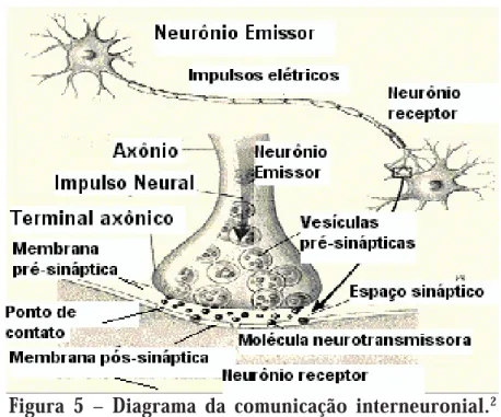 Figura 5 – Diagrama da comunicação interneuronial. 2
