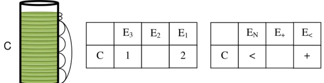 Ilustração  7  -  Registro  do  sistema  quaternário  na  reta  numérica  com  símbolos 