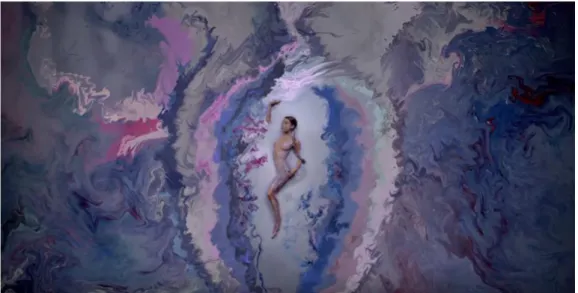 Figura 10: a artista está coberta por uma pintura que recria o órgão genital  feminino