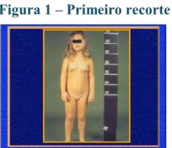 Figura 1 – Primeiro recorte 