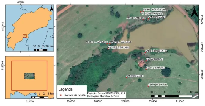 Figura 2 – Visualização dos pontos de coleta. 