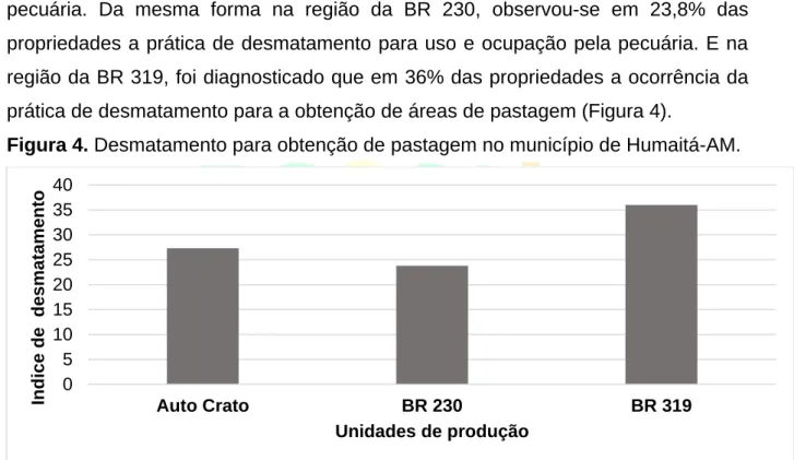 Figura 4. Desmatamento para obtenção de pastagem no município de Humaitá-AM. 