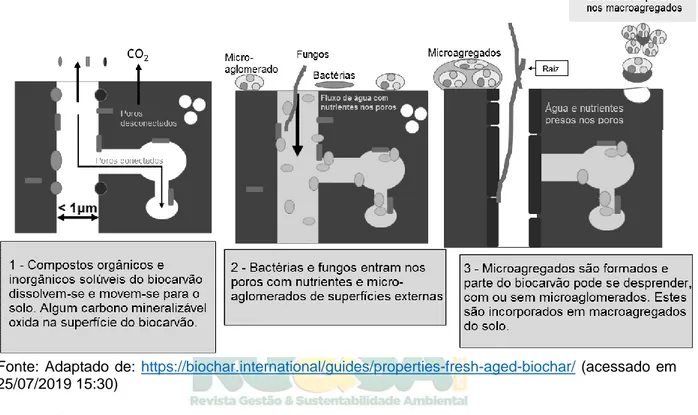 Figura  1:  Principais  alterações  decorrentes  do  envelhecimento  do  biochar  quando aplicado no solo