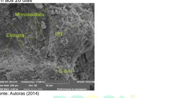 Figura 8 - Microscopia concreto com 50% de areia de fundição quebra de canal, 50  μm aos 28 dias 