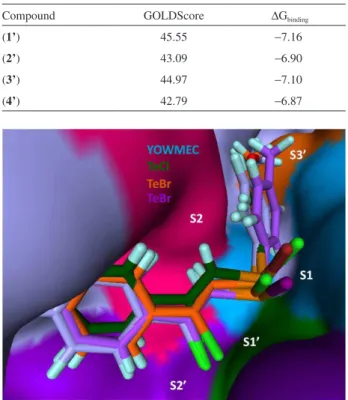 Figure 3. The four molecules docked into the active site of cathepsin B. 