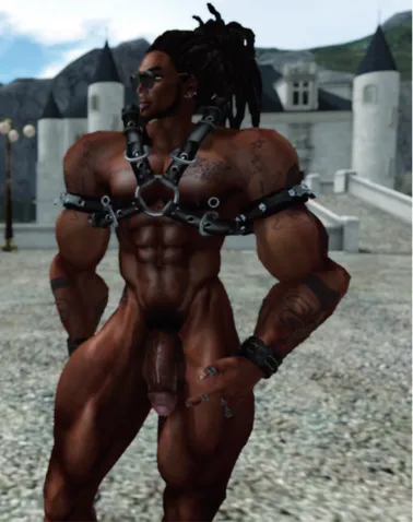 Figure 2. Hypergenders: porn actor avatar in SL.