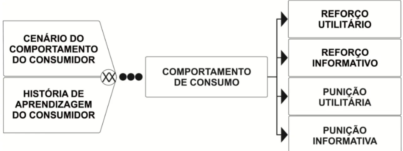 Figura 2: Representação do Behavioral Perspective Model (BPM; adaptada de FOXALL, 2010, p