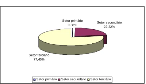Figura 3: Participação Setorial das Atividades do Município de Novo Hamburgo Fonte: MTE (2006) Setor primário0,38% Setor secundário22,22%Setor terciário77,40%