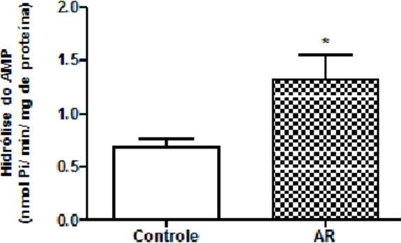 Figura  2  –  Atividade  da  E-5’-nucleotidase  (hidrólise  do  AMP)  em  soro  de  ratos  submetidos  a  modelo experimental de artrite
